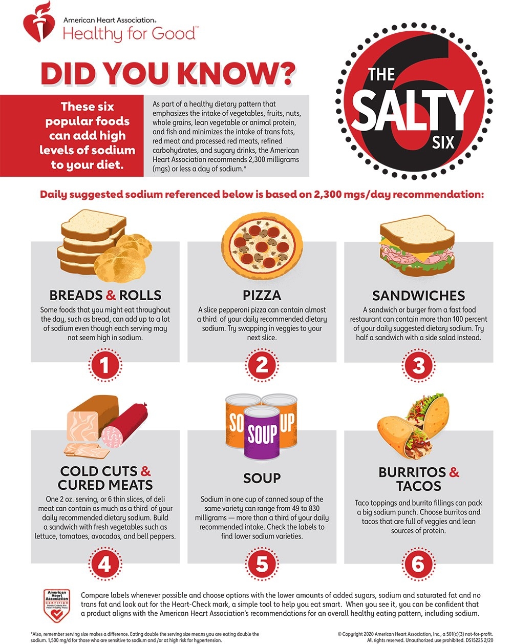 Salty Six Infographic