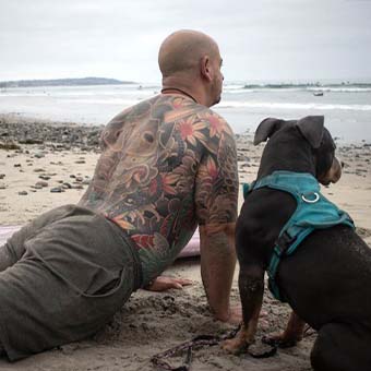 Man on beach with dog doing yoga