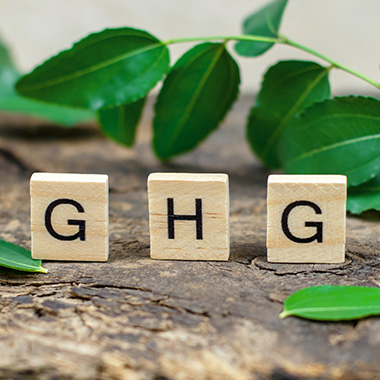 Abbreviation GHG on wooden cubes against the background of green leaves. Greenhouse Gas.