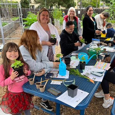 Benefits Buy Seeds Gardening Project