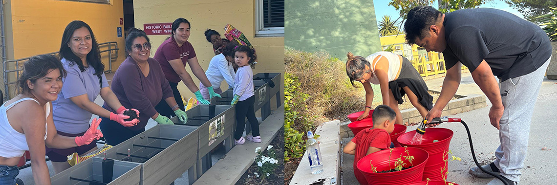 3x1 fern street banner